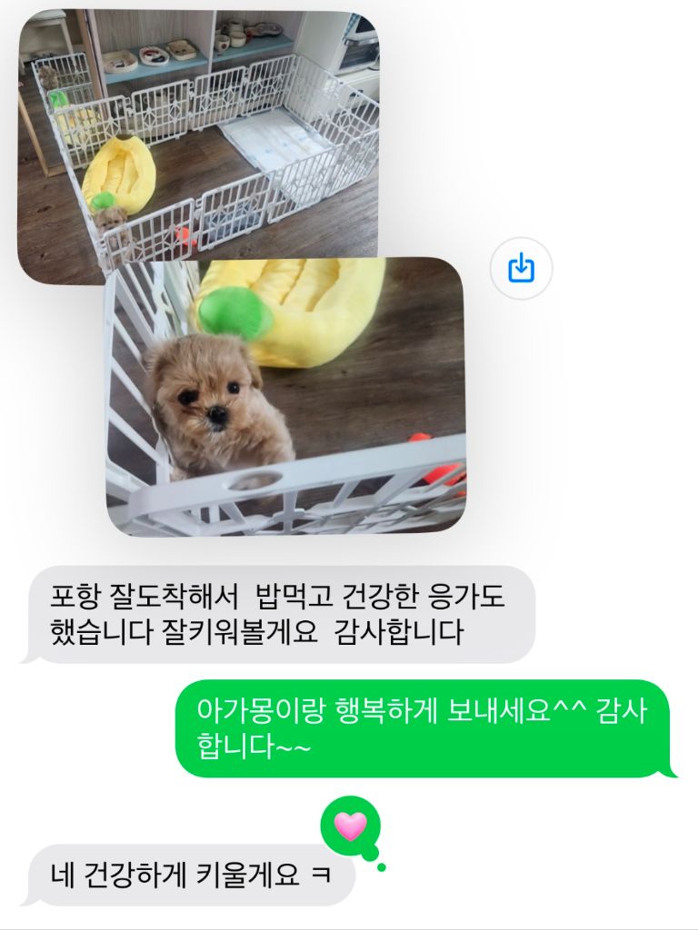 포항 후기사진