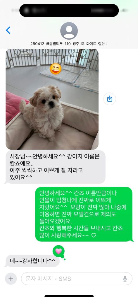 칸초 후기사진