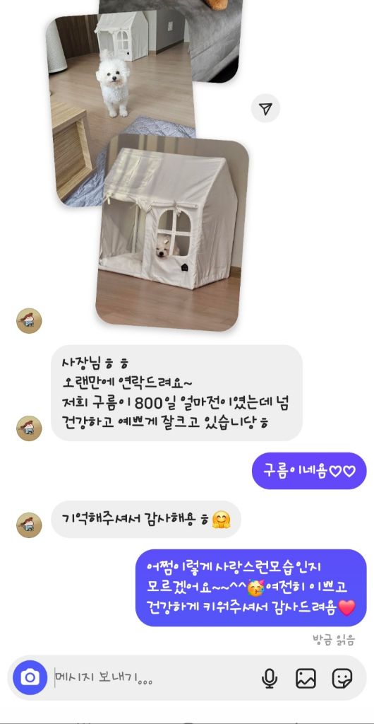 구름 후기사진