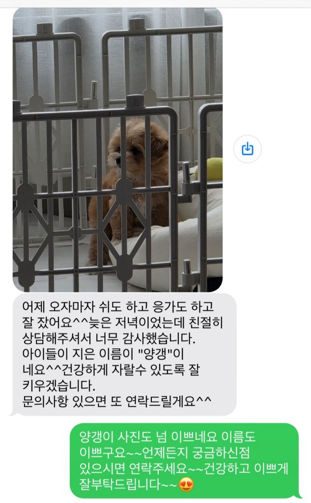 양갱 후기사진2
