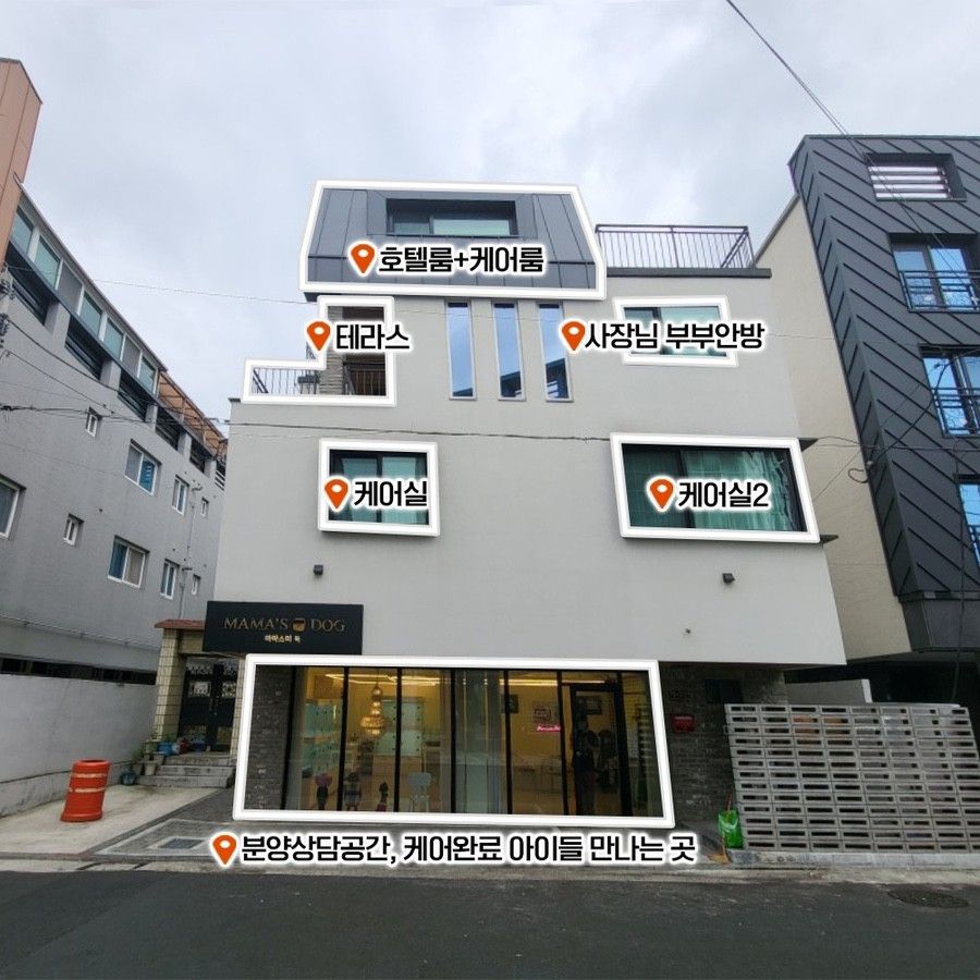 마마스미독 건물 전경