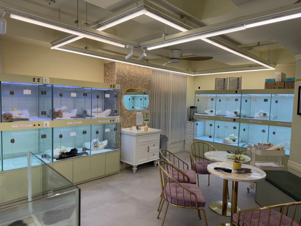 마마스미독 케어 공간 전체