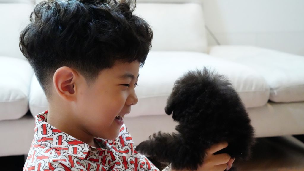 아이와 강아지의 만남