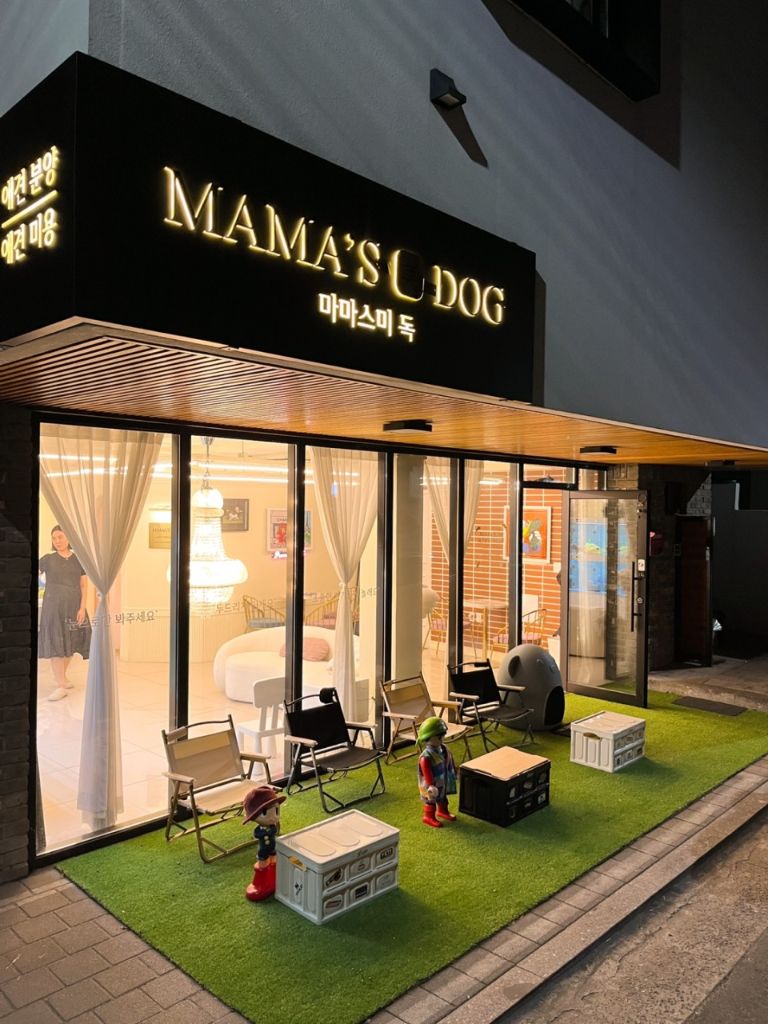 마마스미독 야간 외관